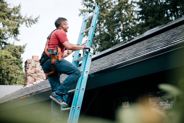 Emergency Roof Repair in Hernando, MS